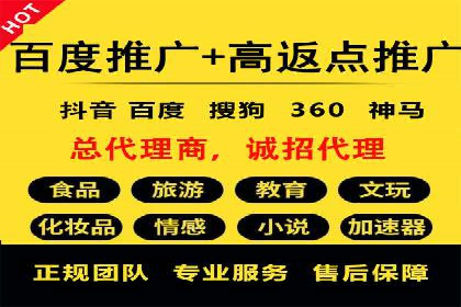 案例研究：百度推广托管助力电商品牌快速崛起